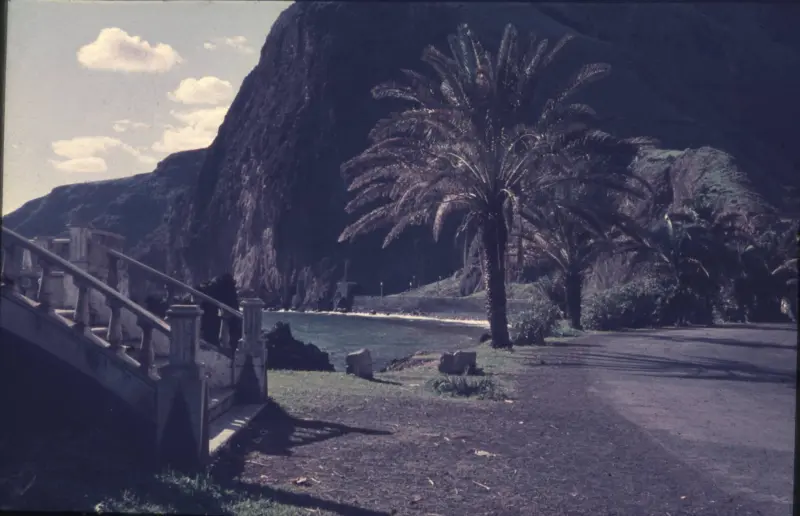 Avenida de Los Indianos